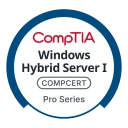 Hybrid Server Pro I: Core